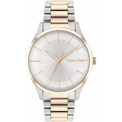 Men's Watch Calvin Klein 25200044