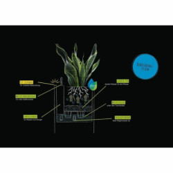 Self-watering flowerpot Lechuza Black 40 x 40 x 56 cm LED