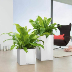 Self-watering flowerpot Lechuza Silver 40 x 40 x 76 cm Plastic