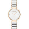 Ladies'Watch Calvin Klein 25200139