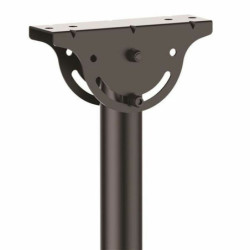 TV Mount Startech FPCEILPTBLP 50 kg 32" 75"