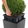 Self-watering flowerpot Lechuza Brown 39,5 x 39,5 x 75,5 cm Plastic Rectangular