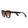 Ladies' Sunglasses Burberry ARDEN BE 4391