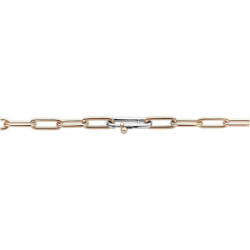 Ladies' Necklace Ti Sento 3947SR/48