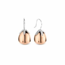 Ladies' Earrings Ti Sento 7775SR