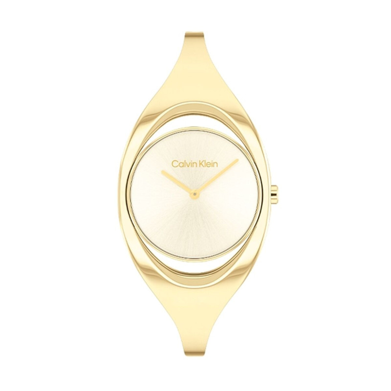 Ladies' Watch Calvin Klein 25200422