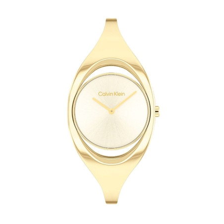 Ladies' Watch Calvin Klein 25200422