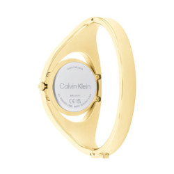 Ladies' Watch Calvin Klein 25200422