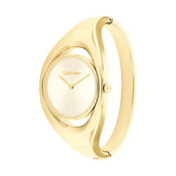 Ladies' Watch Calvin Klein 25200422