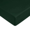 Fitted sheet Harry Potter Green 60 x 120 cm