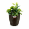 Planter Stefanplast Plastic 24 x 22 x 24 cm (6 Units)