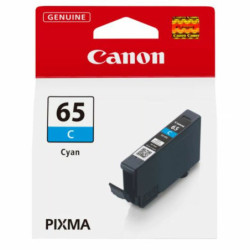 Original Ink Cartridge Canon 4216C001