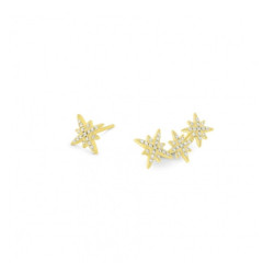 Ladies' Earrings Inês Rochinha IR.BR2260DCZ