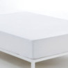 Fitted bottom sheet Alexandra House Living White 150 x 200 cm