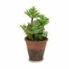 Decorative Plant Succulent Plastic 16 x 23 x 16 cm (12 Units)