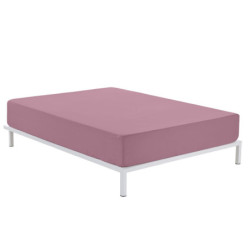 Fitted bottom sheet Alexandra House Living Magenta 190/200 x 200 cm