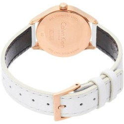 Ladies' Watch Calvin Klein ENDLESS (Ø 26 mm)