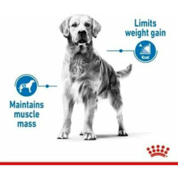 Fodder Royal Canin 12 kg