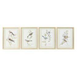 Painting DKD Home Decor 35 x 2,5 x 45 cm Traditional Birds (4 Pieces)