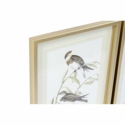 Painting DKD Home Decor 35 x 2,5 x 45 cm Traditional Birds (4 Pieces)