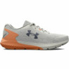 Running Shoes for Adults Under Armour Rogue 3 Grey Lady