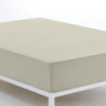 Fitted bottom sheet Alexandra House Living Beige 150 x 190/200 cm