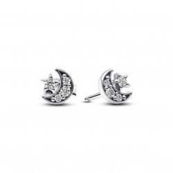 Ladies' Earrings Pandora 292990C01