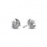 Ladies' Earrings Pandora 292990C01