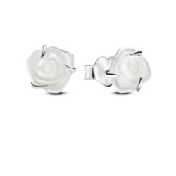 Ladies' Earrings Pandora 293209C01