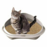 Cat Litter Box Georplast GP10536 58 x 48 x 20,5 cm (8 Units)