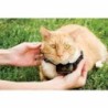 Cat Collar PetSafe Prf-3004xw-20