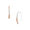 Ladies' Earrings Skagen SKJ1587998