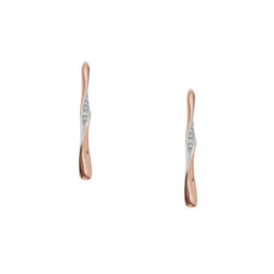 Ladies' Earrings Skagen SKJ1587998