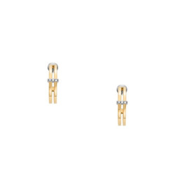 Ladies' Earrings Skagen SKJ1671998