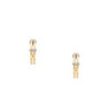 Ladies' Earrings Skagen SKJ1671998