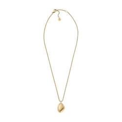 Ladies' Necklace Skagen SKJ1725710