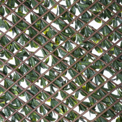 Lattice Natural Laurel wicker Bamboo 2 x 200 x 100 cm