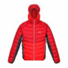 Men's Sports Jacket Regatta Harrock Red