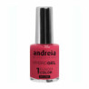 nail polish Andreia Hybrid Fusion H67 (10,5 ml)