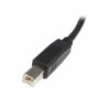 USB A to USB B Cable Startech USB2HAB1M            Black