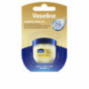 Moisturising Lip Balm Vaseline 7 g Crème Brûlée