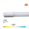 LED Tube EDM F 9 W T8 900 Lm Ø 2,6 x 60 cm (4000 K)