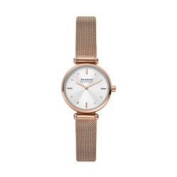 Ladies'Watch Skagen AMBERLINE (Ø 28 mm)