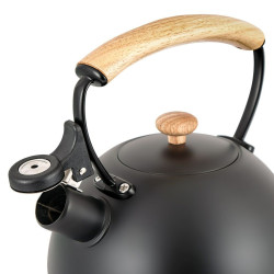 Teapot Promis TMC-15B 2,5 L