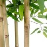 Tree Home ESPRIT Polyester Bamboo 80 x 80 x 180 cm