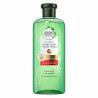 Shampoo Herbal Botanicals Aloe & Mango (380 ml)