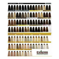 Permanent Dye Color Creme Exitenn (60 ml)