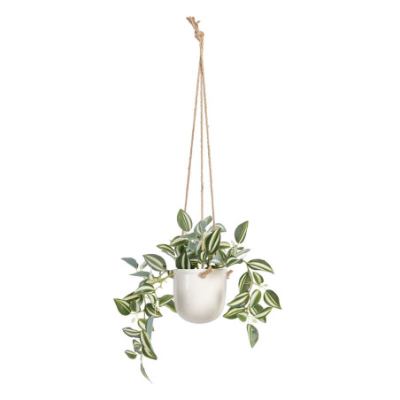 Decorative Plant 24 x 35 x 25 cm White Green PVC