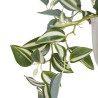 Decorative Plant 24 x 35 x 25 cm White Green PVC