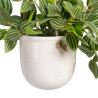 Decorative Plant 33 x 33 x 24 cm White Green PVC